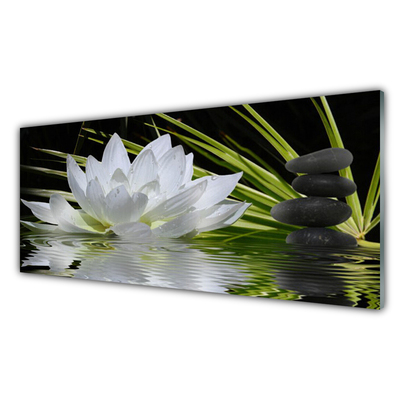 Obraz na skle Květiny Kameny Zen Voda