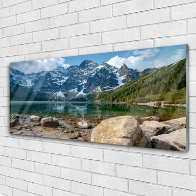 Obraz na skle Hory Les Jezero Kameny