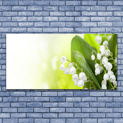 Obraz na skle Konvalinky Listy Květiny Louka