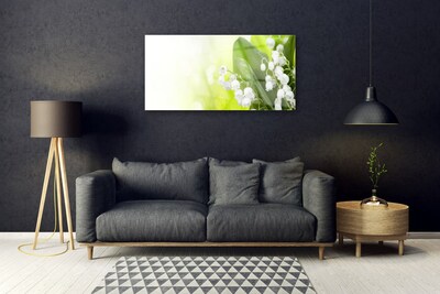 Obraz na skle Konvalinky Listy Květiny Louka