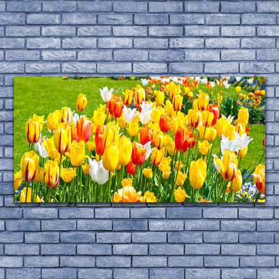Obraz na skle Tulipány Květiny Příroda