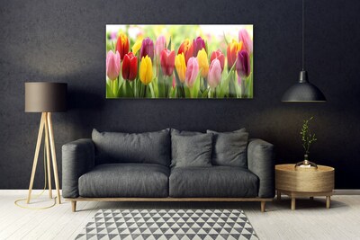 Obraz na skle Tulipány Květiny Příroda