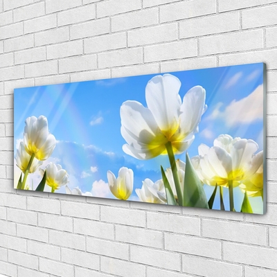 Obraz na skle Rostliny Květiny Tulipány