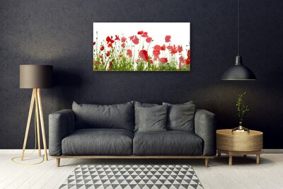 Obraz na skle Máky Květiny Příroda