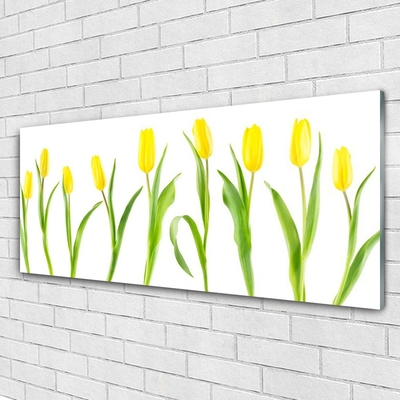 Obraz na skle Žluté Tulipány Květiny