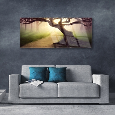 Obraz na skle Strom Paprsky Slunce