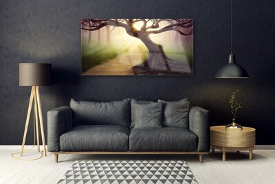 Obraz na skle Strom Paprsky Slunce