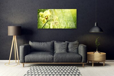 Obraz na skle Tráva Příroda Rostlina