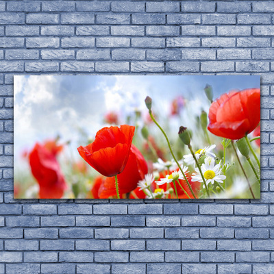 Obraz na skle Máky Sedmikrásky Květiny