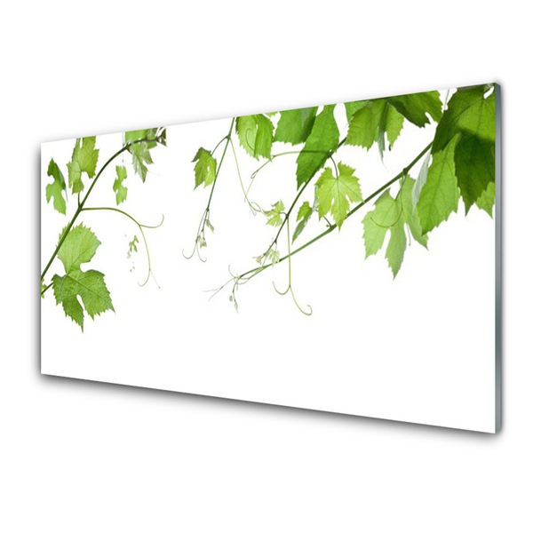 Obraz na skle Větve Listy Příroda Květiny