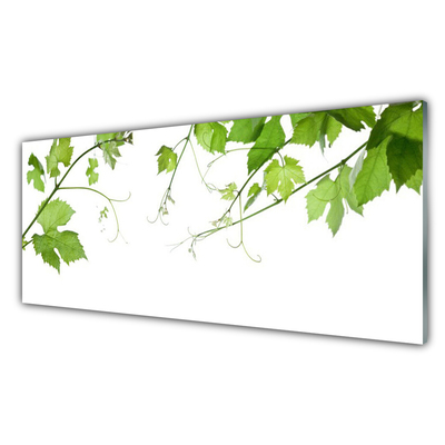 Obraz na skle Větve Listy Příroda Květiny
