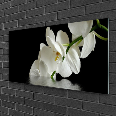 Obraz na skle Orchidej ve Vodě Květiny