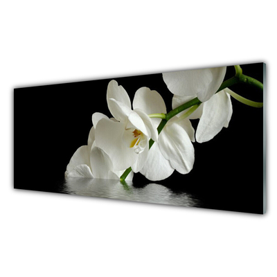 Obraz na skle Orchidej ve Vodě Květiny