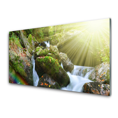 Obraz na skle Vodopád Duha Příroda Potok