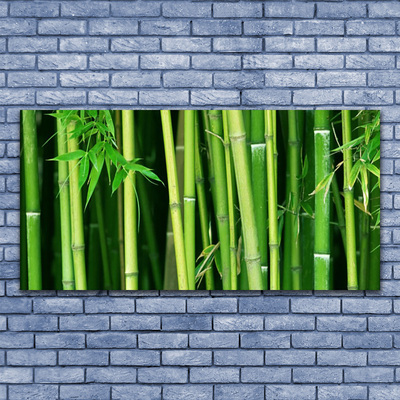 Obraz na skle Bambusový Les Bambus Příroda