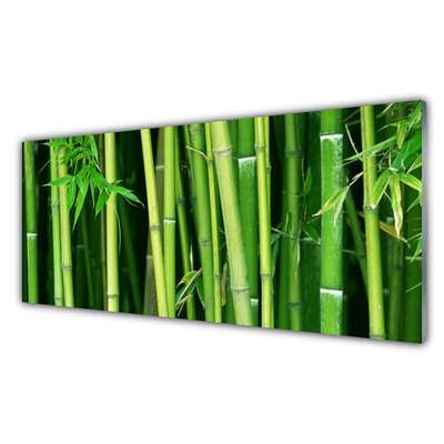 Obraz na skle Bambusový Les Bambus Příroda