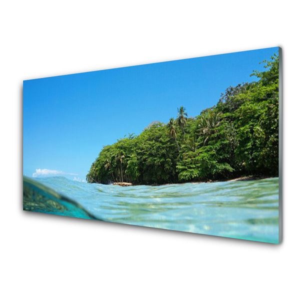 Obraz na skle Moře Strom Krajina