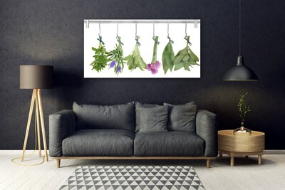 Obraz na skle Sušené Byliny Listy Květiny