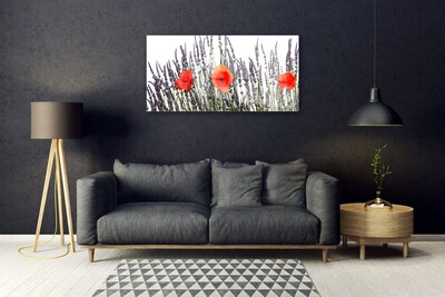 Obraz na skle Květiny Máky Pole Trávy