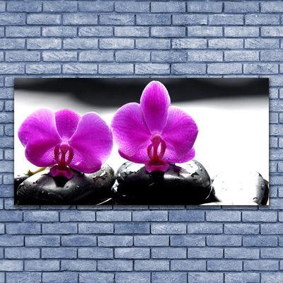 Obraz na skle Květiny Kameny Zen Lázně