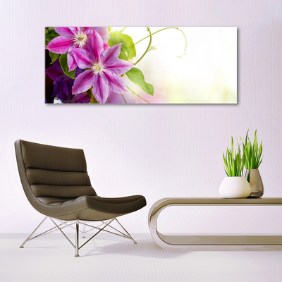 Obraz na skle Květiny Příroda