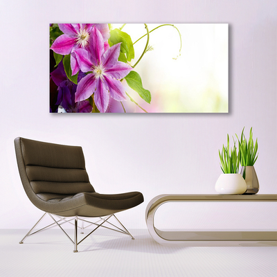 Obraz na skle Květiny Příroda