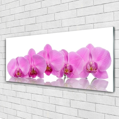 Obraz na skle Růžová Orchidej Květiny