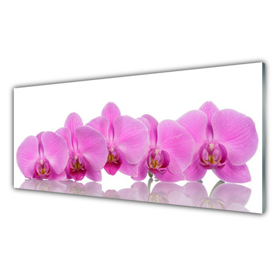Obraz na skle Růžová Orchidej Květiny