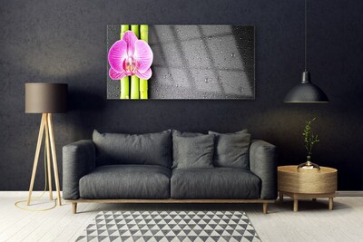 Obraz na skle Bambus Květ Orchidej