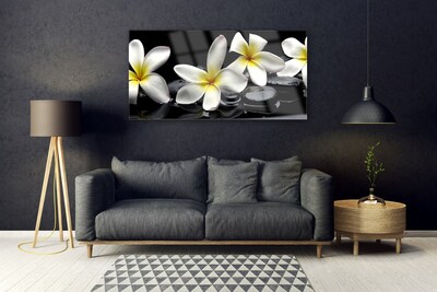 Obraz na skle Kameny Květiny Lázně