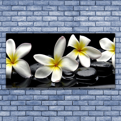 Obraz na skle Kameny Květiny Lázně