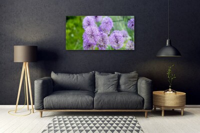 Obraz na skle Fialové Květiny Louka