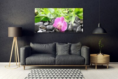 Obraz na skle Květiny Orchidej Kameny Zen