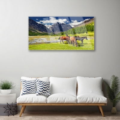 Obraz na skle Hory Stromy Koně Zvířata
