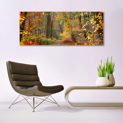 Obraz na skle Les Příroda Podzim