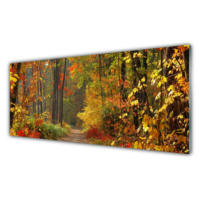 Obraz na skle Les Příroda Podzim