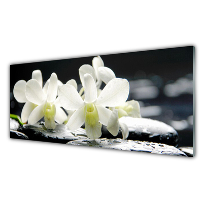 Obraz na skle Kameny Květiny Orchidej