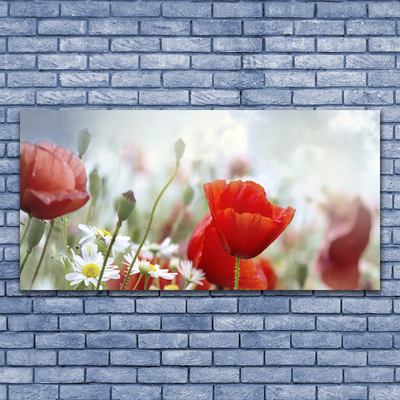 Obraz na skle Květiny Plátky Rostlina