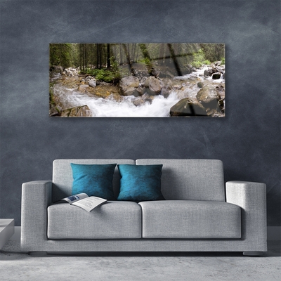 Obraz na skle Les Řeka Vodopády
