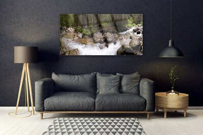 Obraz na skle Les Řeka Vodopády