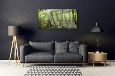 Obraz na skle Les Příroda Džungle