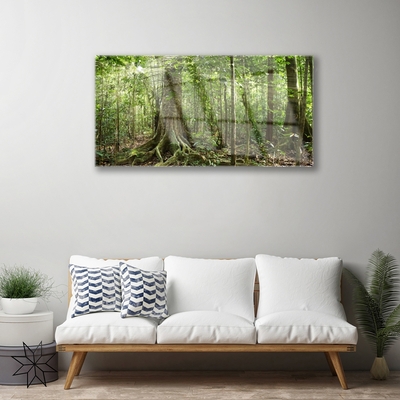 Obraz na skle Les Příroda Džungle