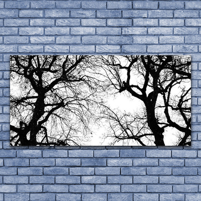 Obraz na skle Stromy Příroda Černobílý