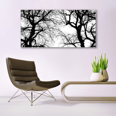 Obraz na skle Stromy Příroda Černobílý