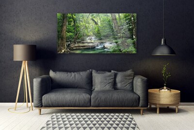 Obraz na skle Lesní Les Příroda