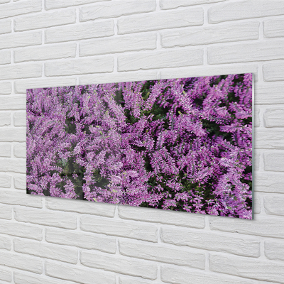 Skleněný panel fialové květy