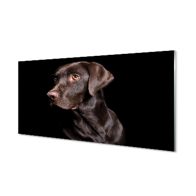 Skleněný panel hnědý pes