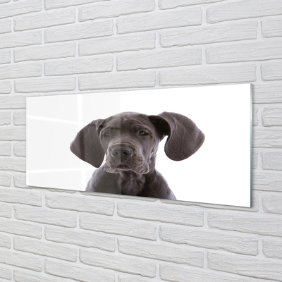 Skleněný panel hnědý pes