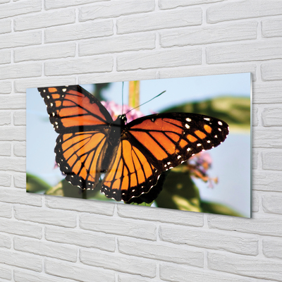 Skleněný panel barevný motýl