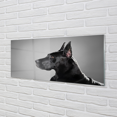 Skleněný panel Černý pes